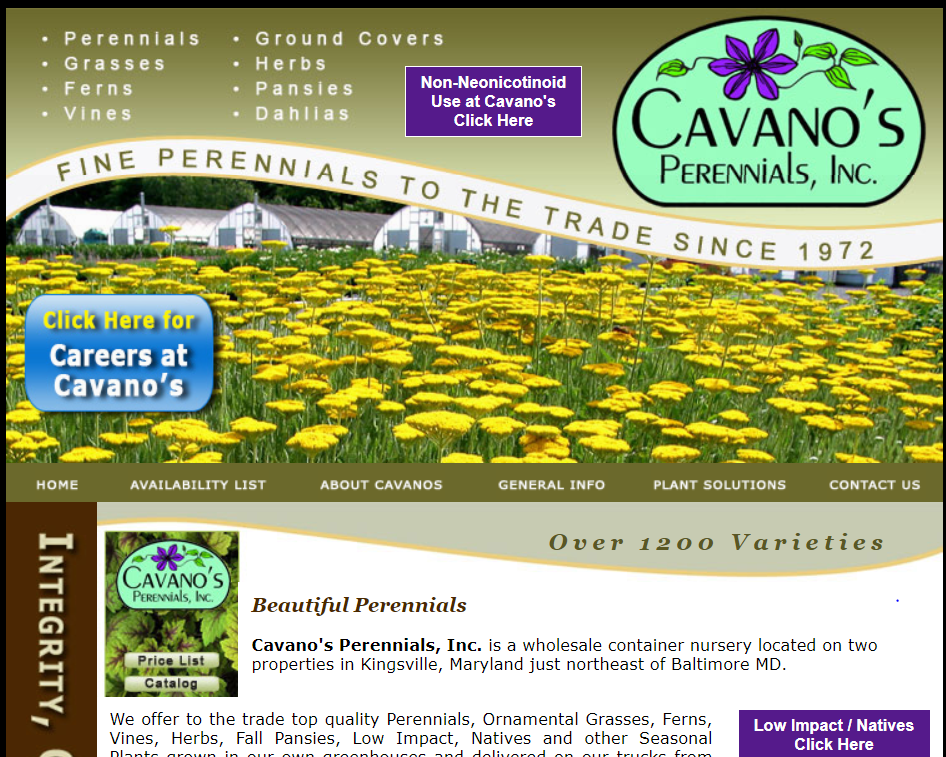 Cavano's Perennials