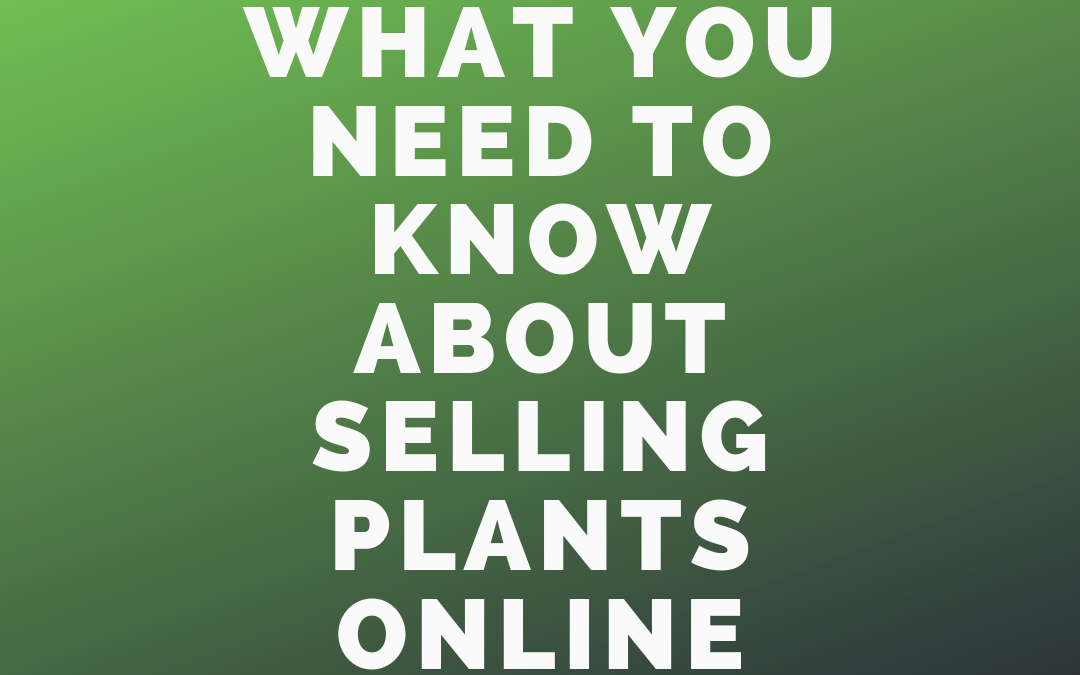 What You Need to Know about Selling Plants Online