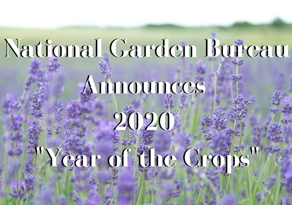 The National Garden Bureau has announced the four plant classes that will be featured in the 2020 “Year of the” program.
