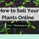 How to Sell Your Plants Online