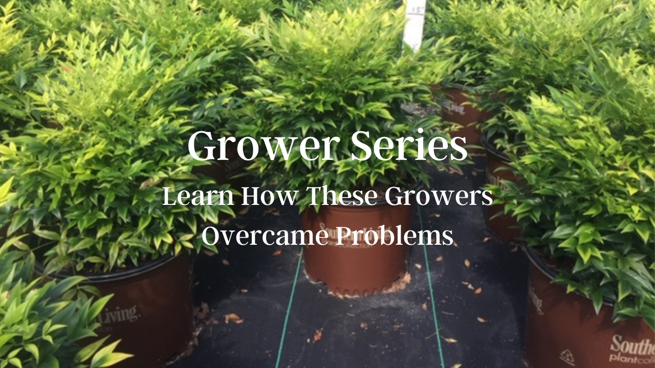 grower series case studies