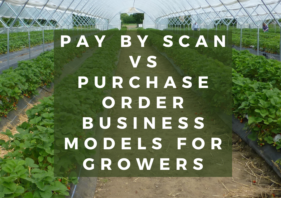 Pay by scan vs purchase order business models for growers