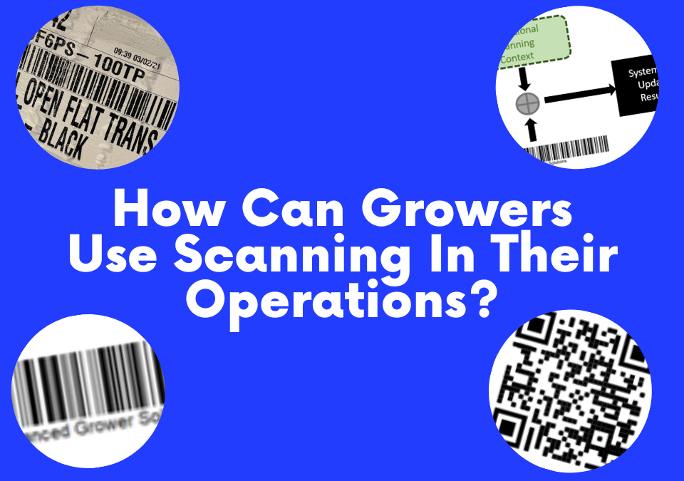 How Can Growers Use Scanning In Their Operations