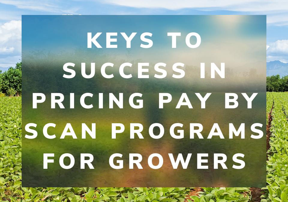 Keys To Success In Pricing Pay By Scan Programs For Growers