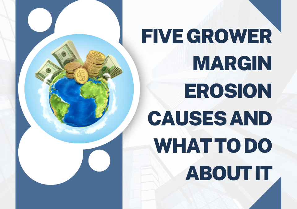 Five Grower Margin Erosion Causes and What To Do About It