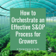 How to Orchestrate an Effective S&OP Process for Growers