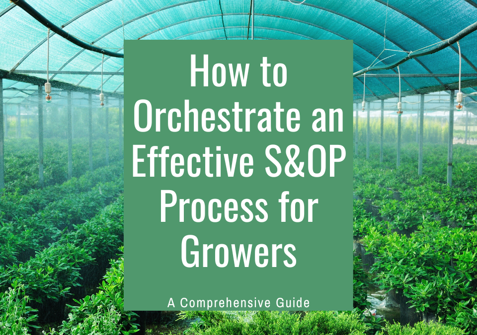 How to Orchestrate an Effective S&OP Process for Growers