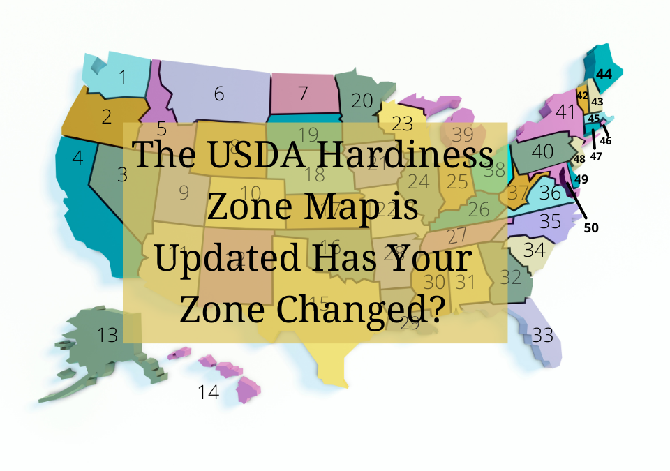 The new USDA Hardiness Zone Map was released in late 2023, see if your zone has changed.