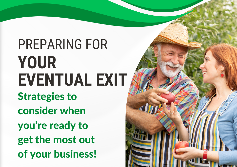 Strategies to consider when you’re ready to get the most out of your business!